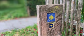 Ein Bild eines alten Sandsteines am Wegesrand mit der typischen Jakobsmuschel als Schild eingraviert in den Stein. Darunter ein Pfeil mit der Richtung.