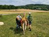 Kinder mit Lama von hinten